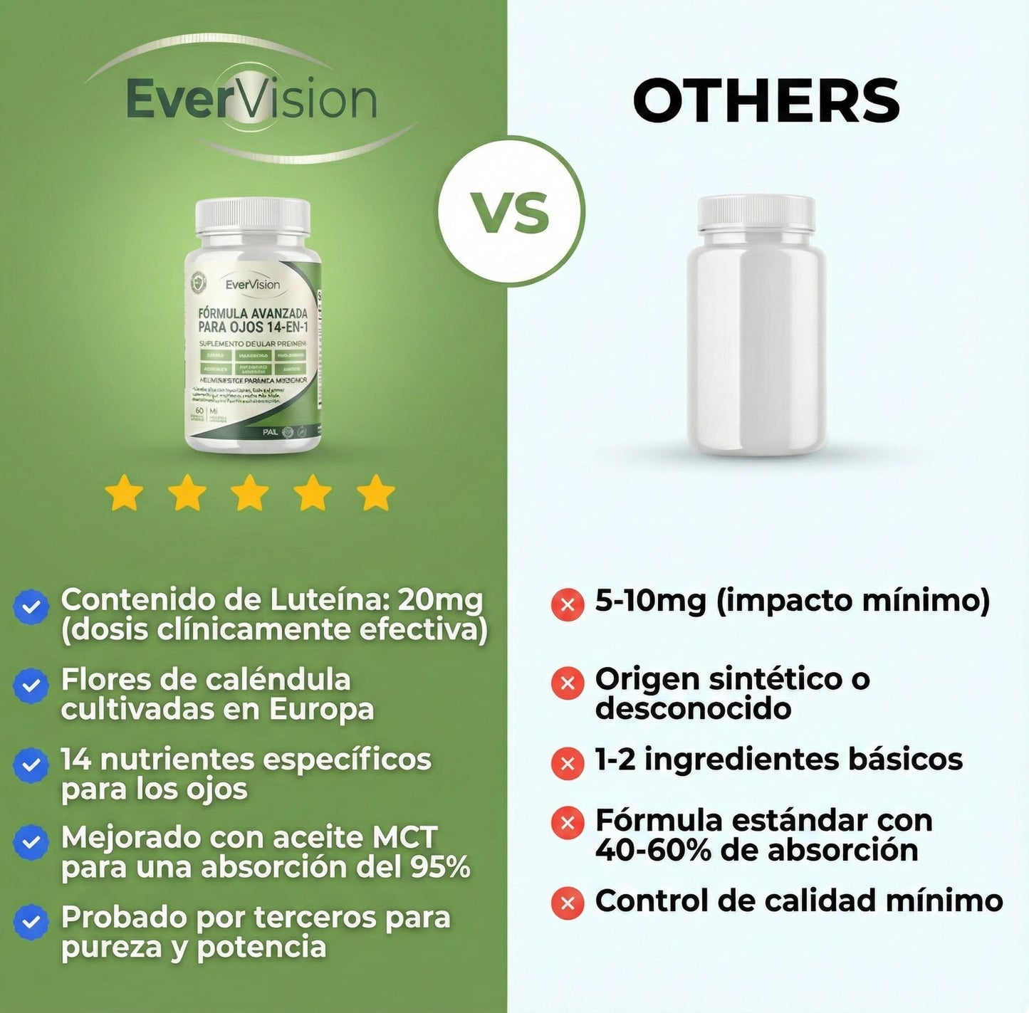 EverVision