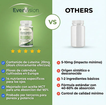 EverVision