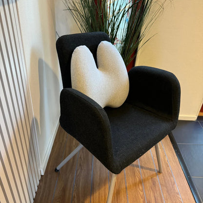 Cojín Lumbar Ortopédico